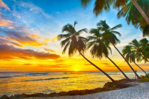 Barbados Exceptional Caribbean