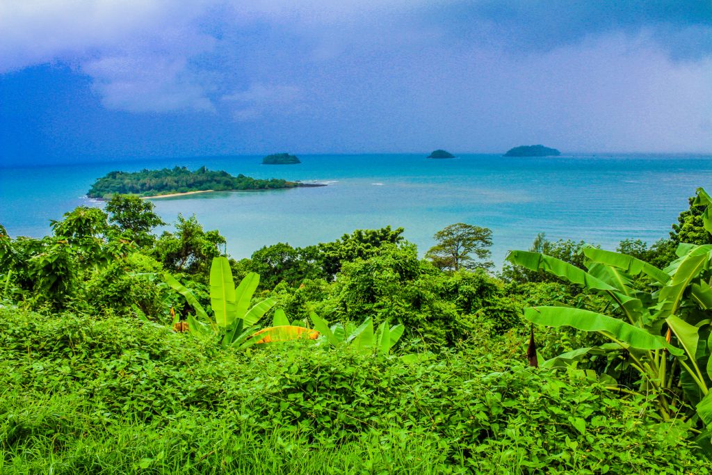 caribbean environment