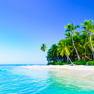 live in the caribbean