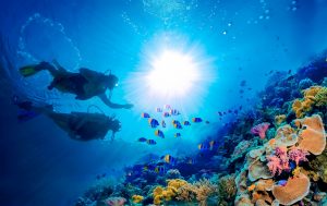 DIVING
