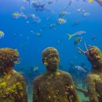 PURE DIVING