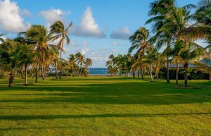 Ocean Front