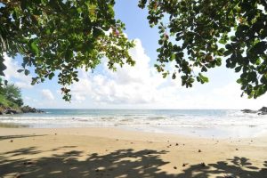Beach Access