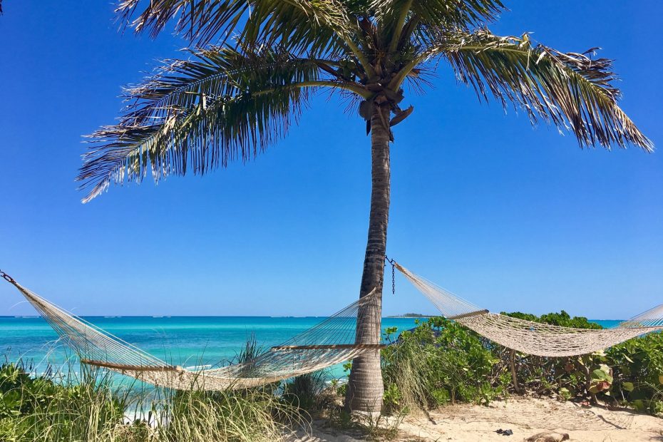 hammocks-in-the-lookout