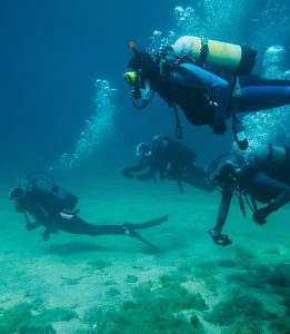 Snorkeling & Scuba Diving