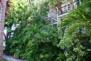 lush gardens
