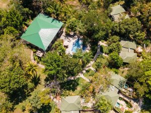 12241183 Exceptional Caribbean