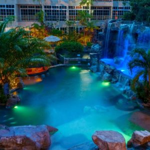 Lagoon-style Pool