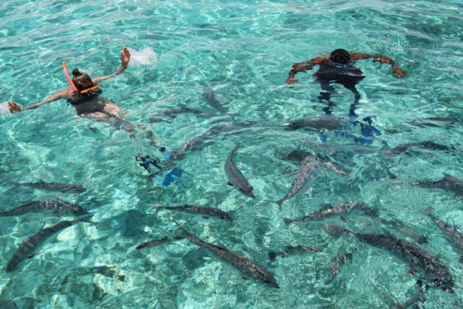 Water Activities