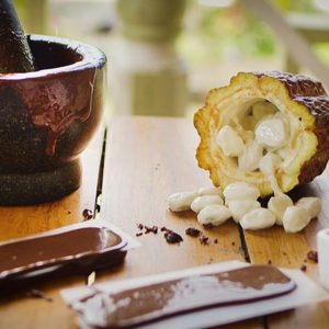 Cacao Grove Tours