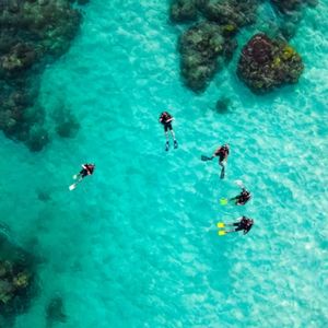 Untouched Reefs