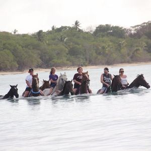 Horseback Riding in the Sea