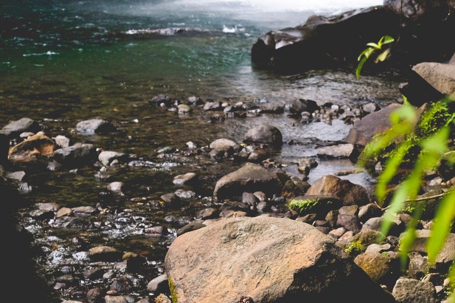 nick-dunlap-G-nttBoQ0ig-unsplash