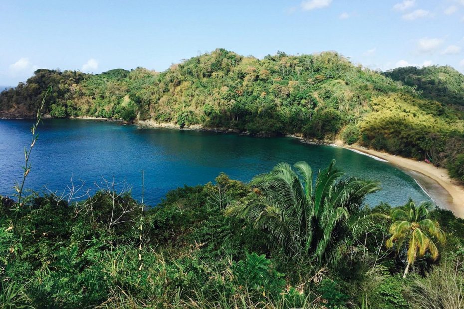 the-view-of-englishman
