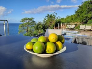 11-Acre Organic Fruit Estate