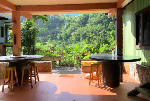 Enjoy Organic & Local Meals