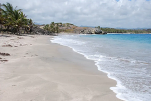 Secluded Beach