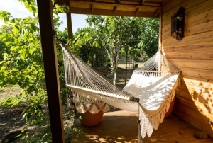 Outdoor Hammock