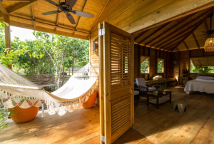 bayleaf-slu-hammock