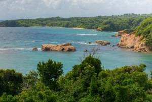 Views of the Sea