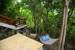 Outdoor Hammock