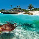Snorkeling