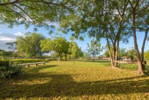 Nature Views