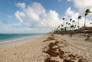 Beach Front