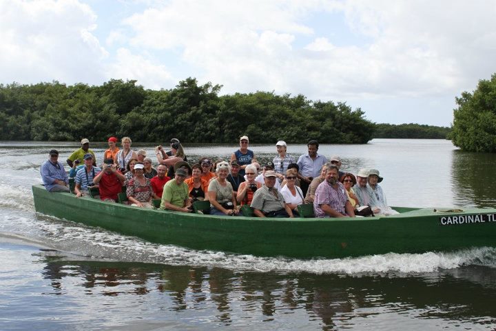 Boating Tours