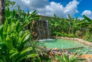 Waterfall Pools