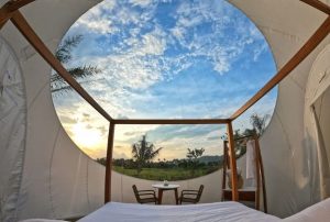 Exceptional Views