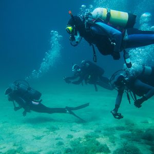 Snorkeling & Scuba Diving