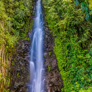 ABUNDANT NATURE